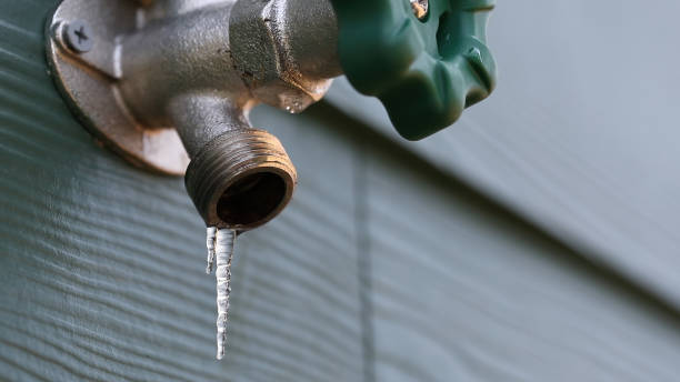 Best Plumbing Repair Near Me  in Citrus Heights, CA